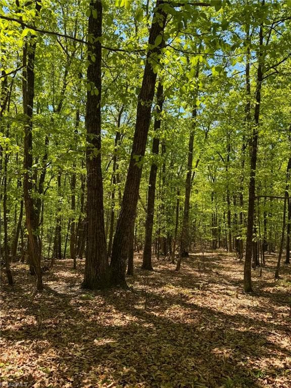 Unimproved Land at TBD Raven Ridge Trail, Dobson NC 27017, photo 2 of 17