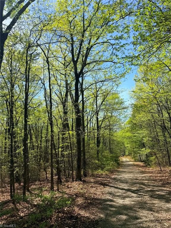 Unimproved Land at TBD Raven Ridge Trail, Dobson NC 27017, photo 6 of 17