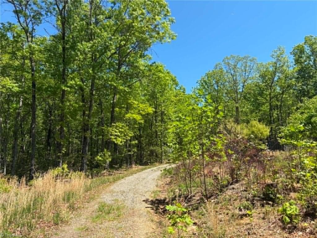 Unimproved Land at TBD Raven Ridge Trail, Dobson NC 27017, photo 12 of 17