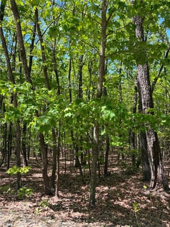 Unimproved Land at TBD Raven Ridge Trail, Dobson NC 27017, photo 7 of 17