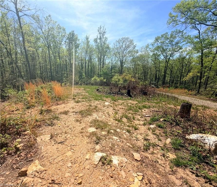 Unimproved Land at TBD Raven Ridge Trail, Dobson NC 27017, photo 3 of 17