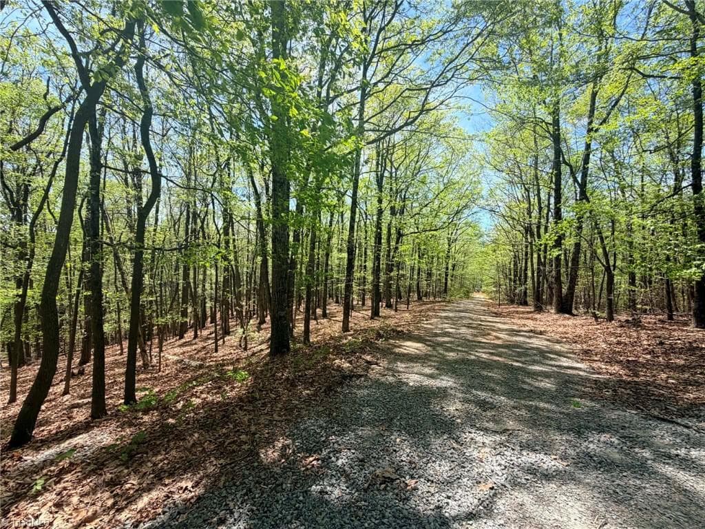 TBD Raven Ridge Trail, Dobson NC 27017