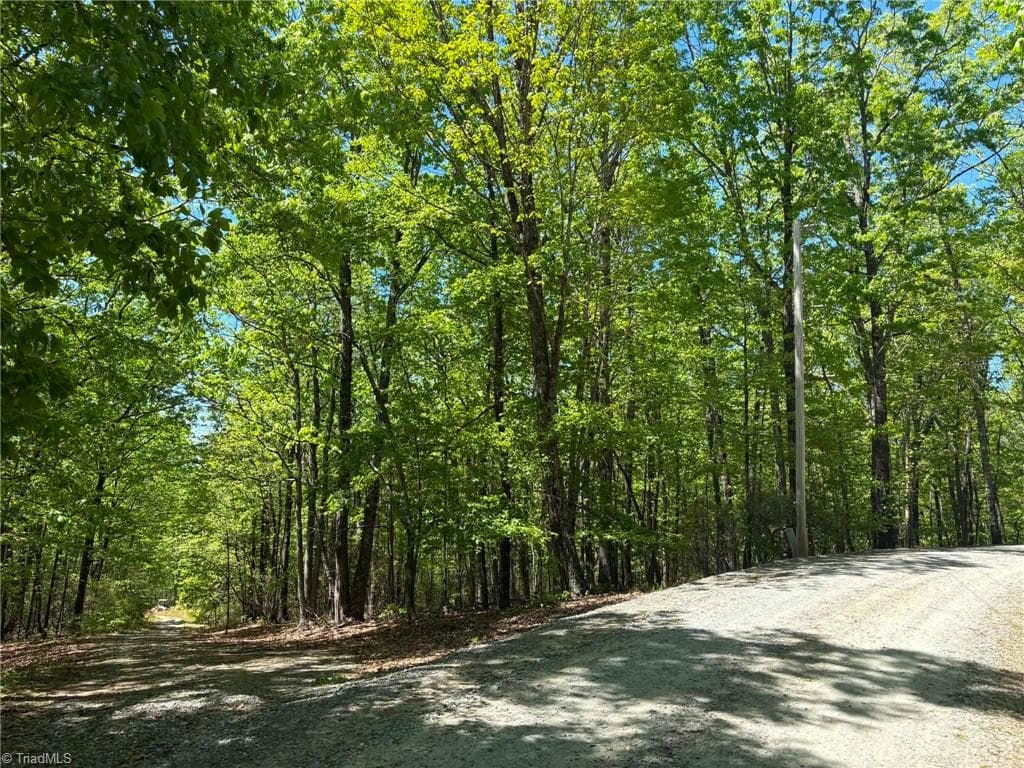Unimproved Land at TBD Raven Ridge Trail, Dobson NC 27017, photo 14 of 17