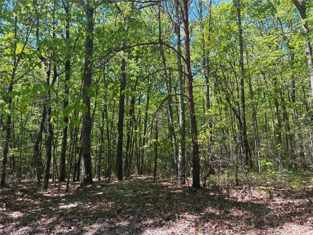 Unimproved Land at TBD Raven Ridge Trail, Dobson NC 27017, photo 15 of 17