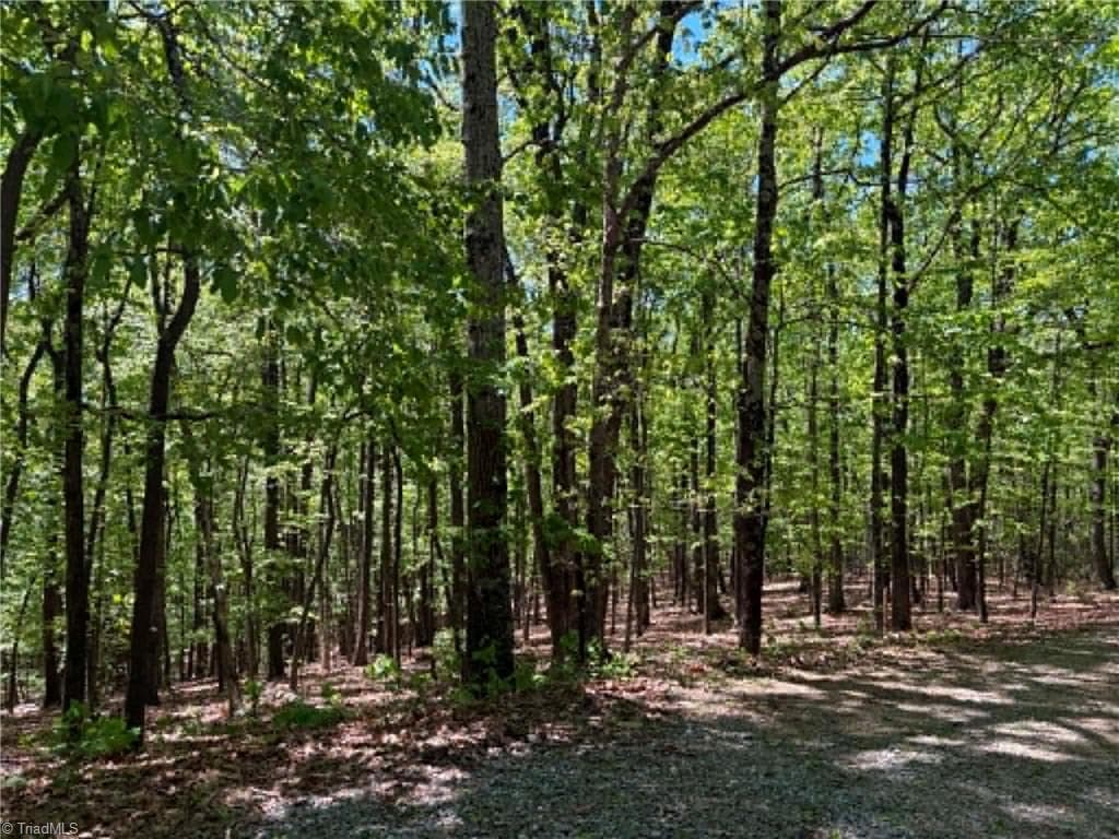 Unimproved Land at TBD Raven Ridge Trail, Dobson NC 27017, photo 8 of 17