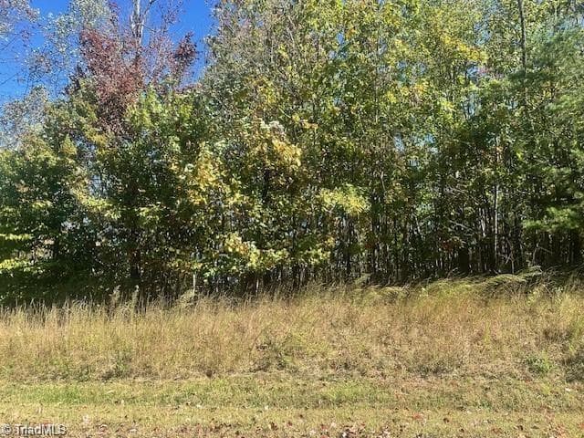 Single Family Residence at Lot 19 Longview Bluffs, Boomer NC 28606, photo 6 of 11