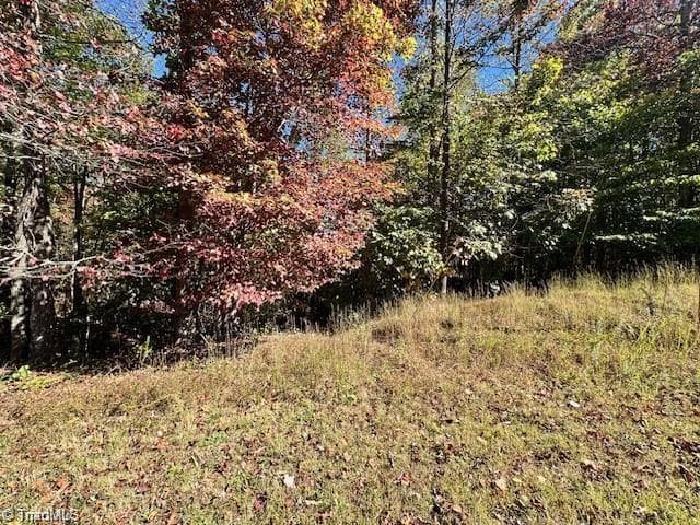 Single Family Residence at Lot 19 Longview Bluffs, Boomer NC 28606, photo 7 of 11