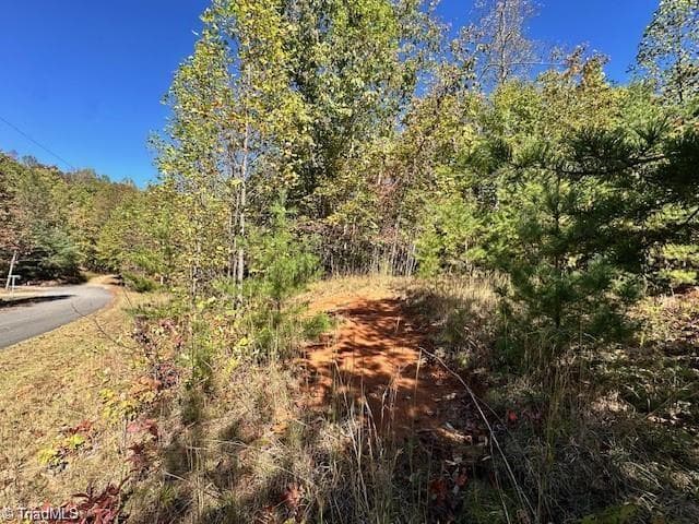 Single Family Residence at Lot 19 Longview Bluffs, Boomer NC 28606, photo 3 of 11