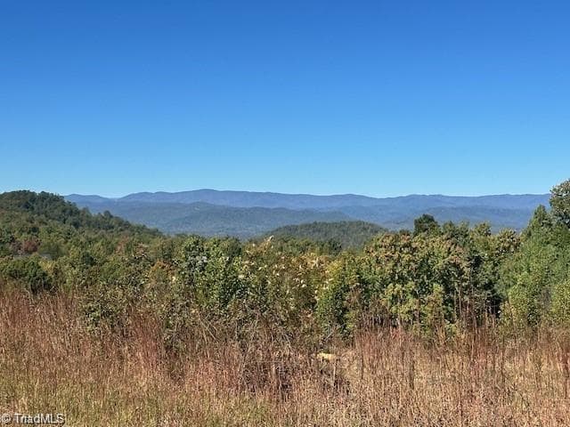 Single Family Residence at Lot 19 Longview Bluffs, Boomer NC 28606, photo 5 of 11