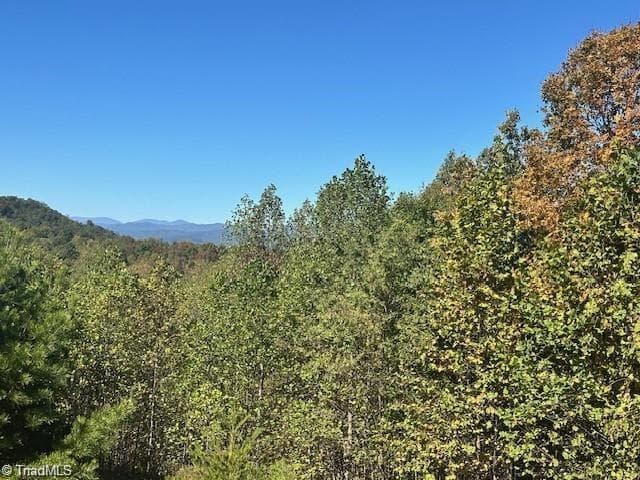 Single Family Residence at Lot 19 Longview Bluffs, Boomer NC 28606, photo 4 of 11