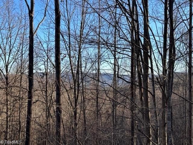Single Family Residence at Lot 19 Longview Bluffs, Boomer NC 28606, photo 8 of 11