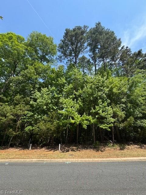 Single Family Residence at Lot 36 Fox Ridge Road, Asheboro NC 27205, Asheboro, photo 5 of 8