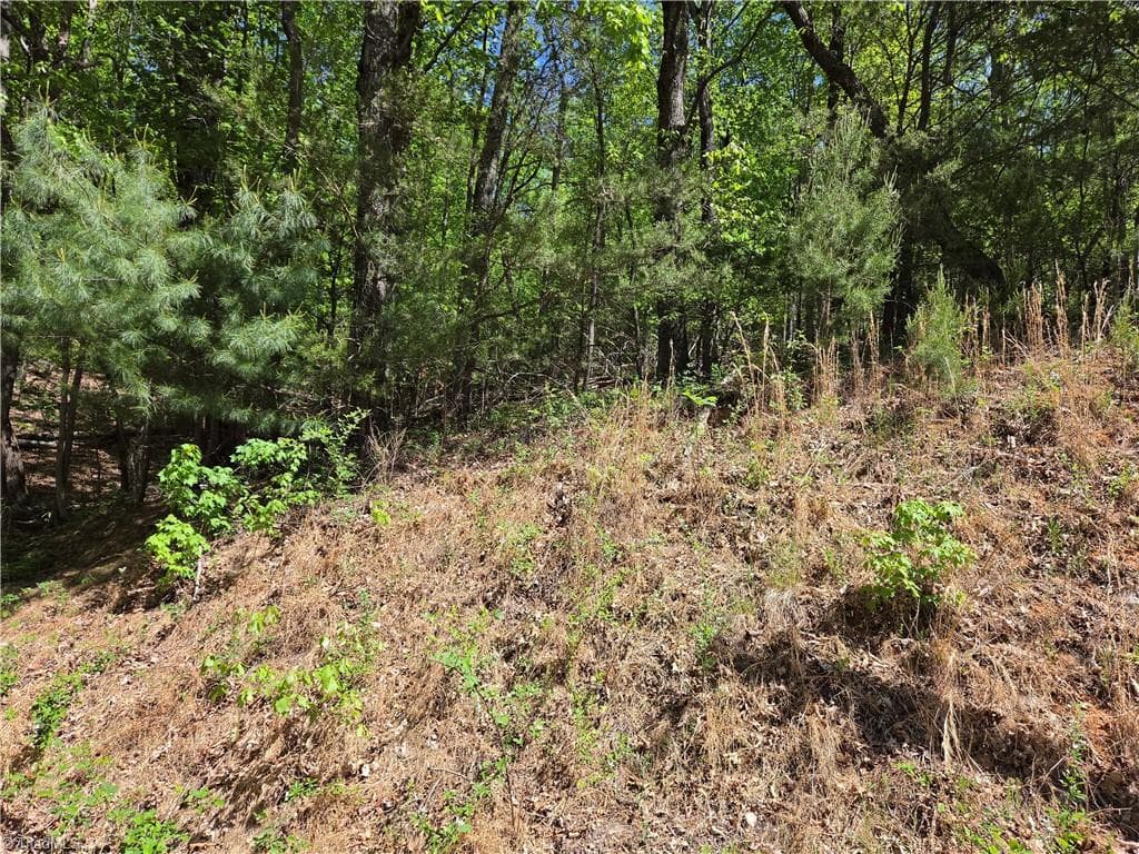 Single Family Residence at TBD Price Road, Moravian Falls NC 28654, Moravian Falls, photo 13 of 20