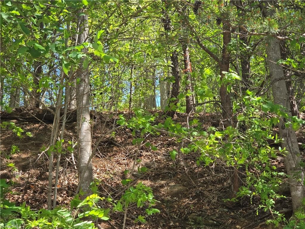 Single Family Residence at TBD Price Road, Moravian Falls NC 28654, Moravian Falls, photo 5 of 20