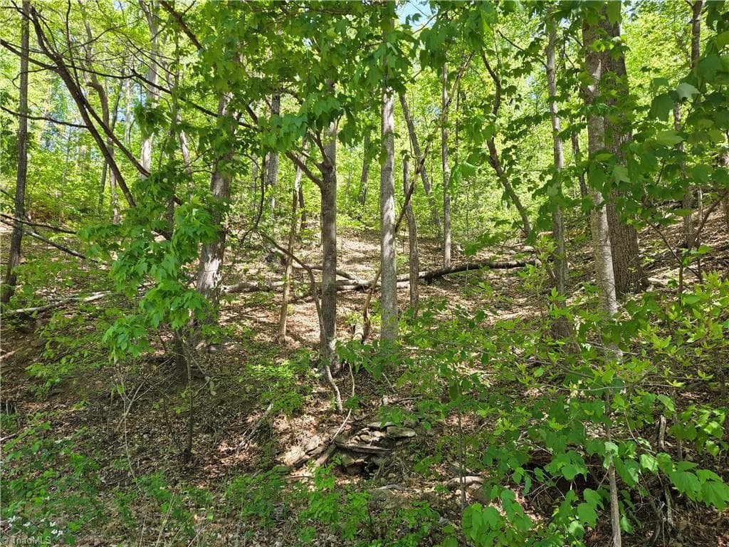 TBD Price Road, Moravian Falls NC 28654