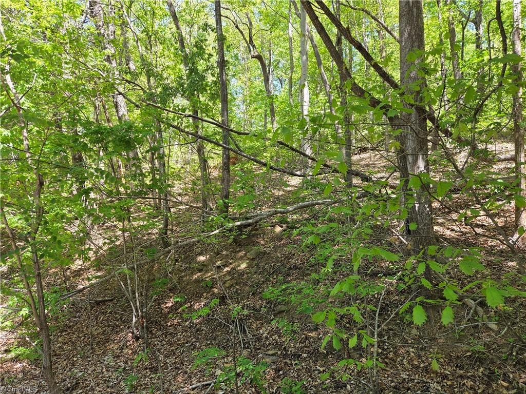 Single Family Residence at TBD Price Road, Moravian Falls NC 28654, Moravian Falls, photo 9 of 20