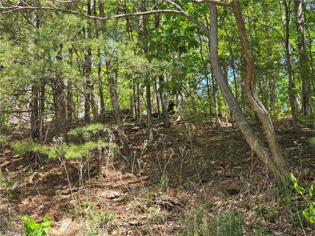 Single Family Residence at TBD Price Road, Moravian Falls NC 28654, Moravian Falls, photo 7 of 20