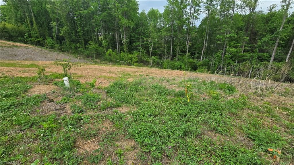 Single Family Residence at Lot 29 & 30 Meadowlark Road, Mount Airy NC 27030, Mount Airy, photo 11 of 20