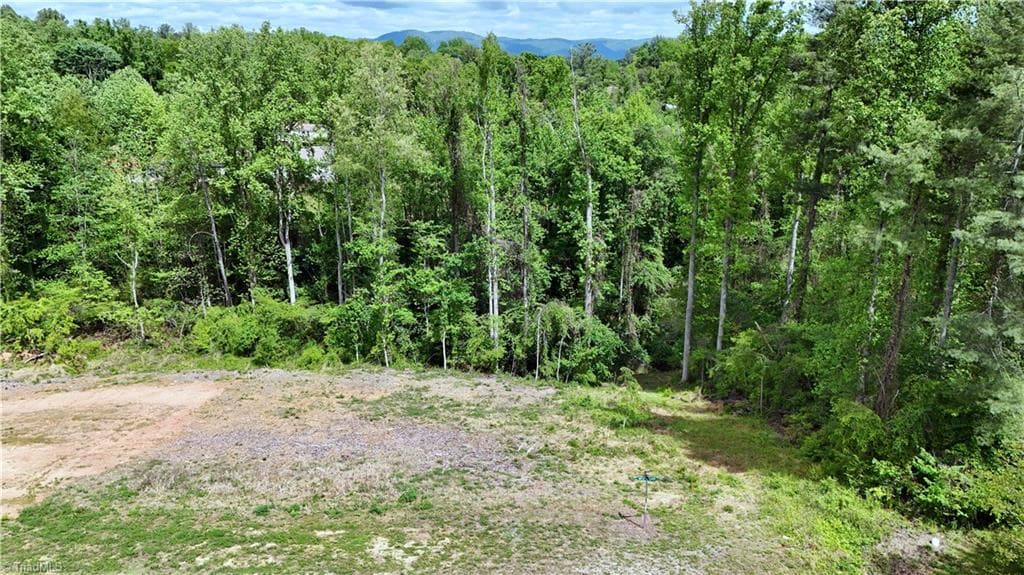 Single Family Residence at Lot 31 Meadowlark Road, Mount Airy NC 27030, Mount Airy, photo 3 of 26
