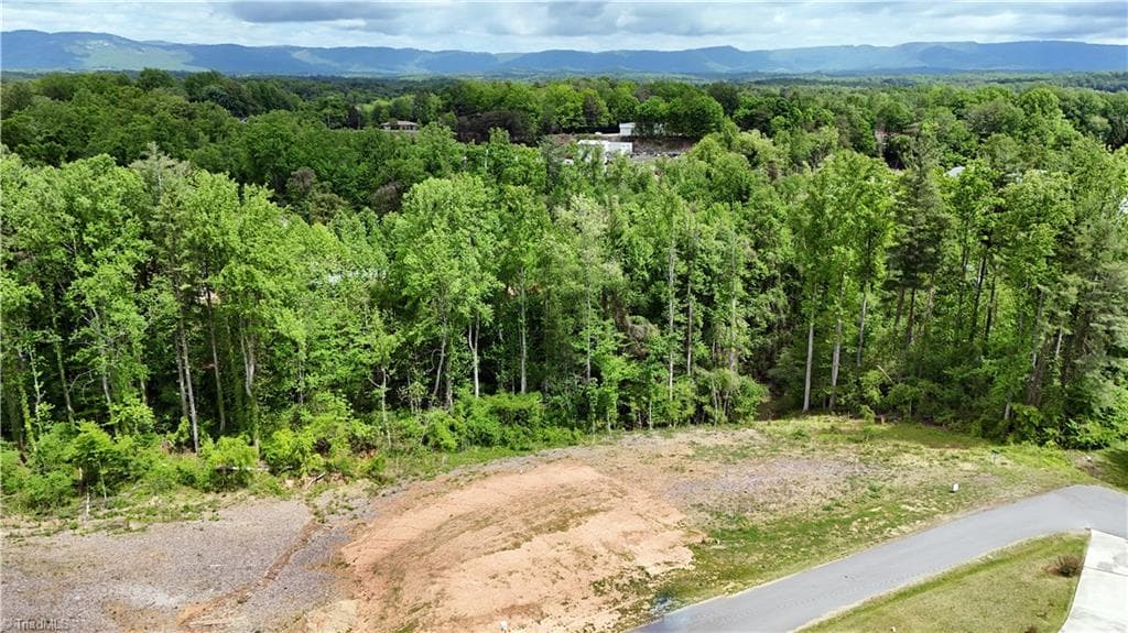 Single Family Residence at Lot 31 Meadowlark Road, Mount Airy NC 27030, Mount Airy, photo 11 of 26