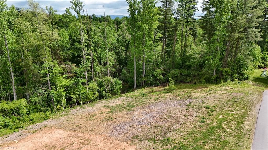 Single Family Residence at Lot 31 Meadowlark Road, Mount Airy NC 27030, Mount Airy, photo 5 of 26
