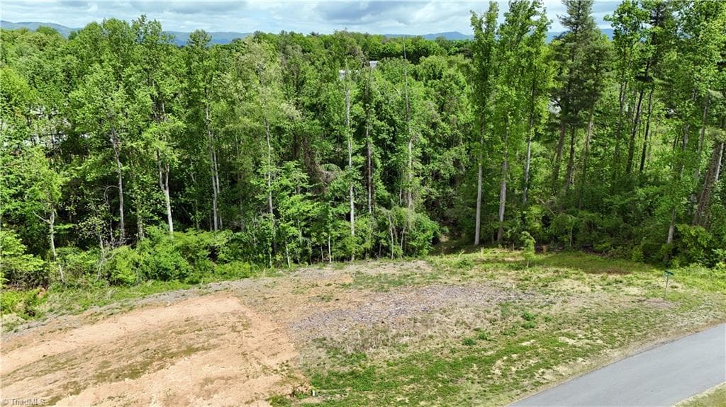 Single Family Residence at Lot 31 Meadowlark Road, Mount Airy NC 27030, Mount Airy, photo 9 of 26