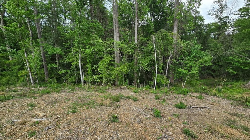 Single Family Residence at Lot 31 Meadowlark Road, Mount Airy NC 27030, Mount Airy, photo 21 of 26