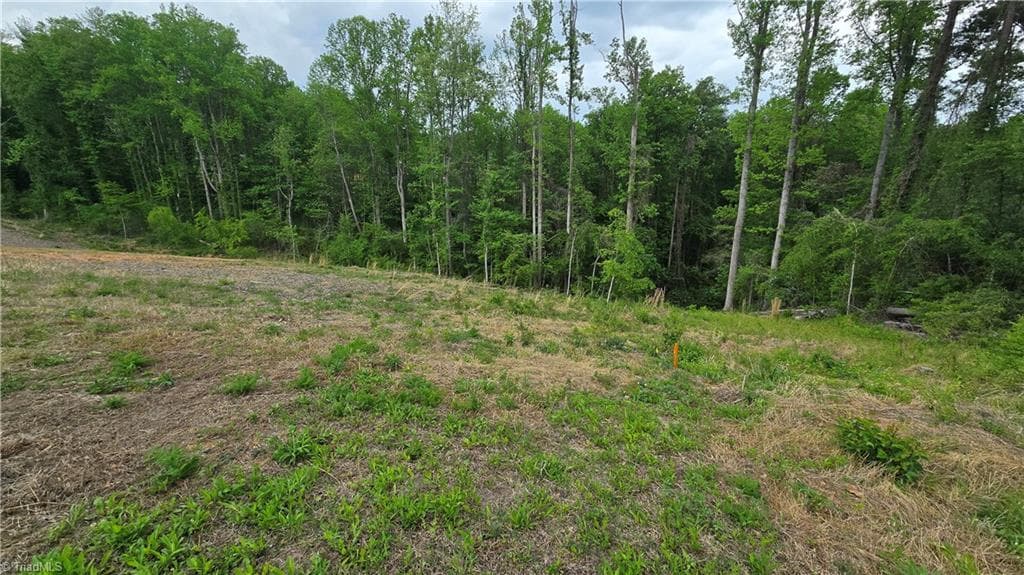 Single Family Residence at Lot 31 Meadowlark Road, Mount Airy NC 27030, Mount Airy, photo 15 of 26