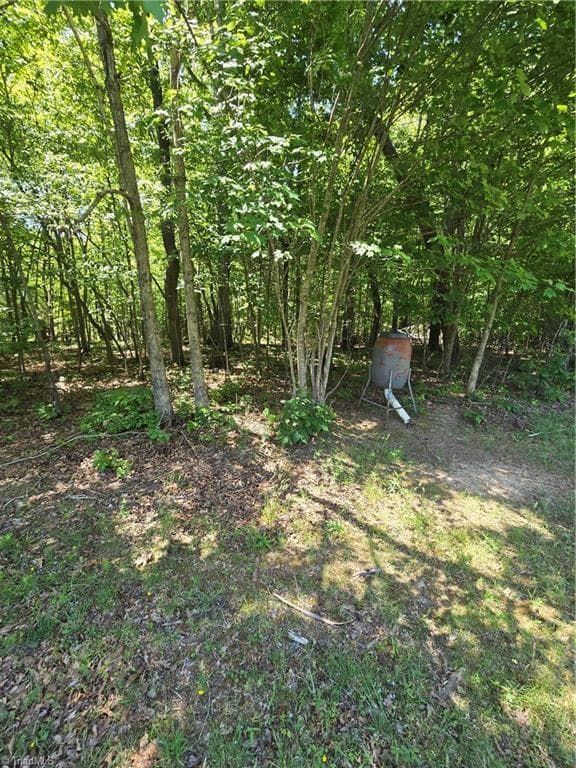Unimproved Land at 5022 Mt Hermon Rock Creek Road, Snow Camp NC 27349, photo 13 of 23
