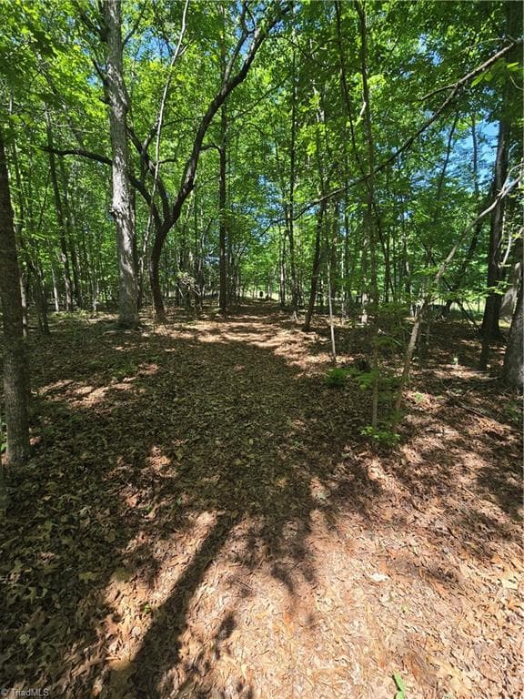 Unimproved Land at 5022 Mt Hermon Rock Creek Road, Snow Camp NC 27349, photo 3 of 23