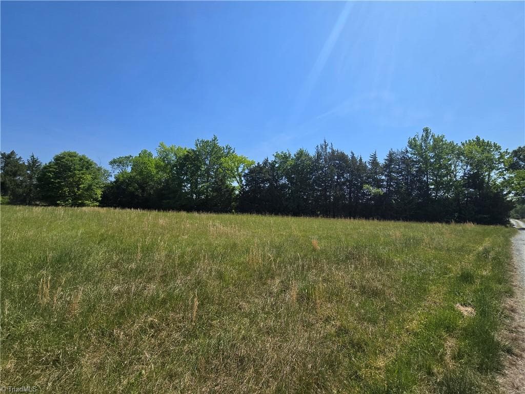 Unimproved Land at 5022 Mt Hermon Rock Creek Road, Snow Camp NC 27349, photo 5 of 23