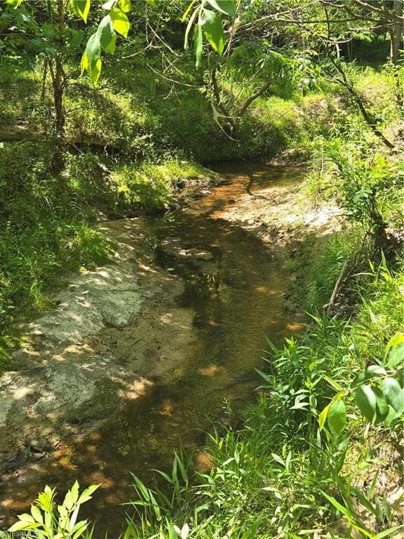 Unimproved Land at 5022 Mt Hermon Rock Creek Road, Snow Camp NC 27349, photo 20 of 23