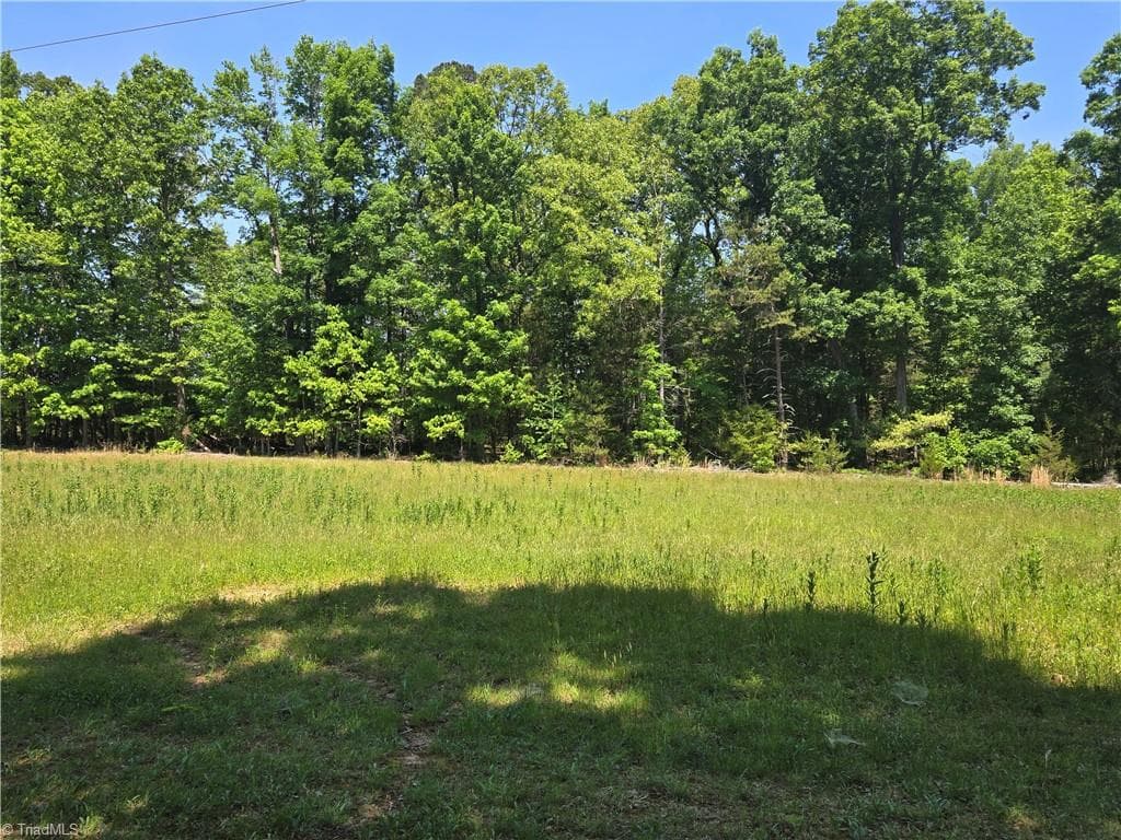 Unimproved Land at 5022 Mt Hermon Rock Creek Road, Snow Camp NC 27349, photo 10 of 23