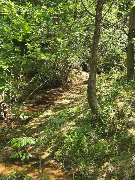 Unimproved Land at 5022 Mt Hermon Rock Creek Road, Snow Camp NC 27349, photo 18 of 23