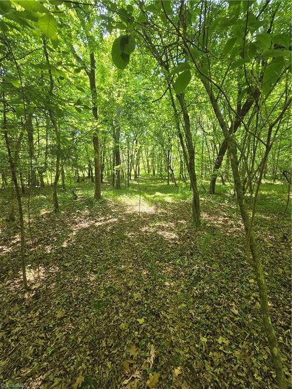 Unimproved Land at 5022 Mt Hermon Rock Creek Road, Snow Camp NC 27349, photo 8 of 23