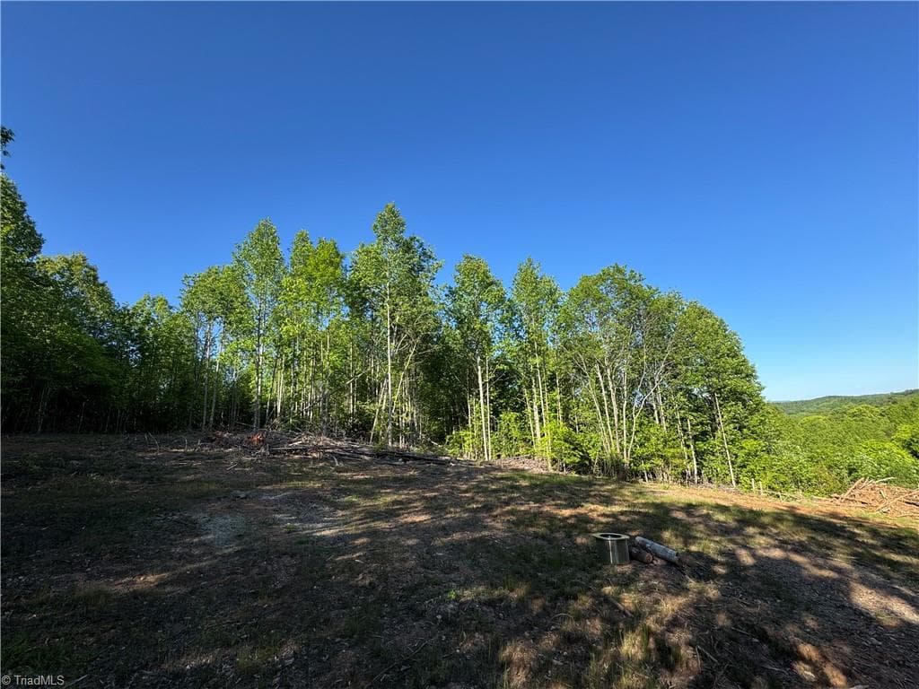 Single Family Residence at Tract 3 River Rd Liberty Grove Road, North Wilkesboro NC 28659, photo 3 of 16