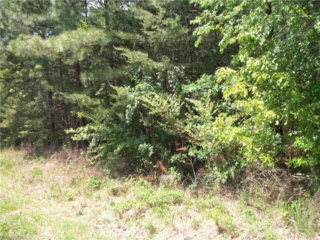 Unimproved Land at 00 Floyd Road, Eden NC 27288, photo 7 of 9