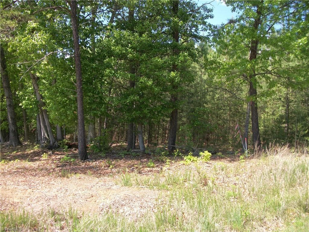 Unimproved Land at 00 Floyd Road, Eden NC 27288, photo 4 of 9