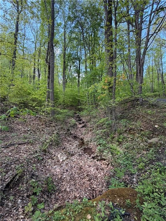 Unimproved Land at Lot#28 Bluff Ridge Road, West Jefferson NC 28694, photo 2 of 8