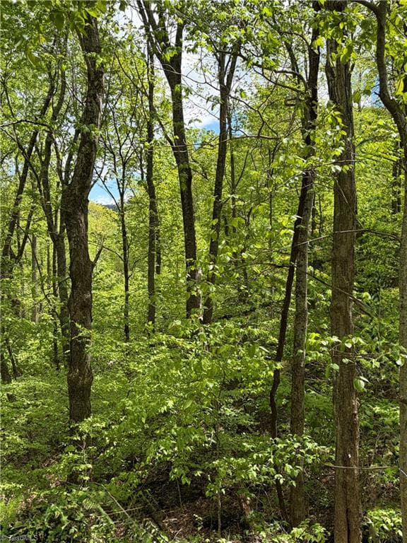 Unimproved Land at Lot#28 Bluff Ridge Road, West Jefferson NC 28694, photo 6 of 8
