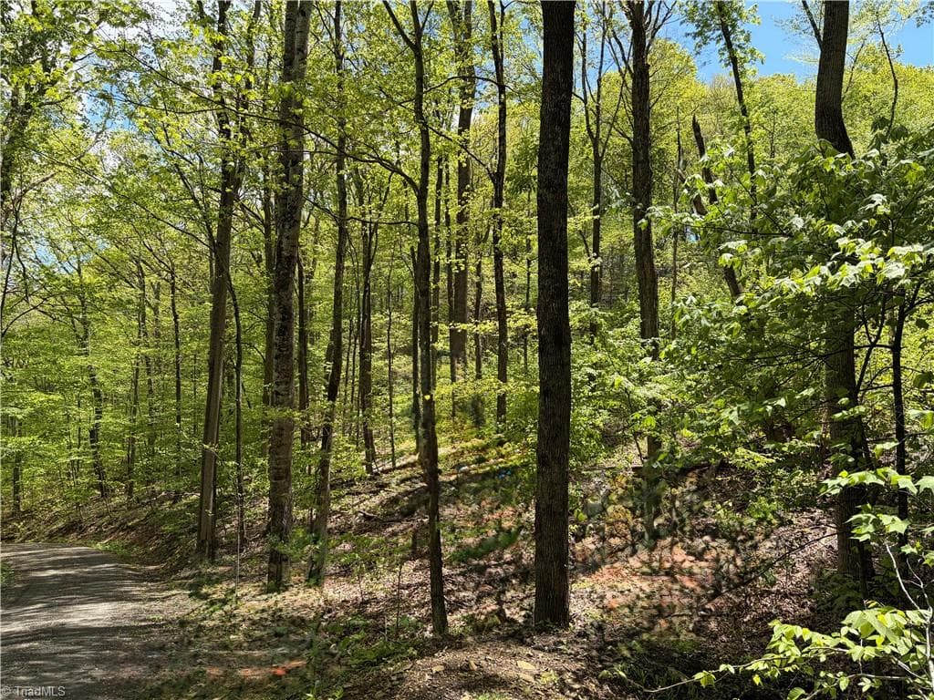 Unimproved Land at Lot#28 Bluff Ridge Road, West Jefferson NC 28694, photo 7 of 8