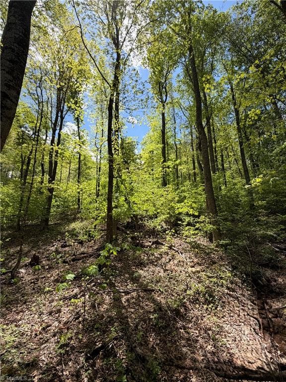 Unimproved Land at Lot#28 Bluff Ridge Road, West Jefferson NC 28694, photo 3 of 8