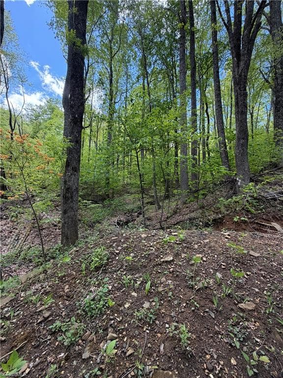 Unimproved Land at Lot#28 Bluff Ridge Road, West Jefferson NC 28694, photo 5 of 8