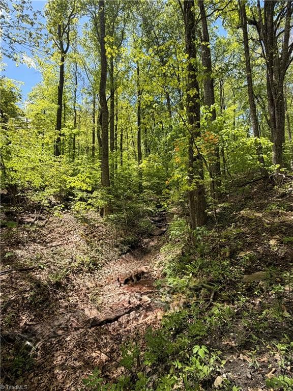 Unimproved Land at Lot#28 Bluff Ridge Road, West Jefferson NC 28694, photo 4 of 8