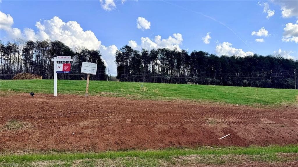 Stick/Site Built at 200 Mayo River Meadows Drive, Stoneville NC 27048, photo 7 of 23