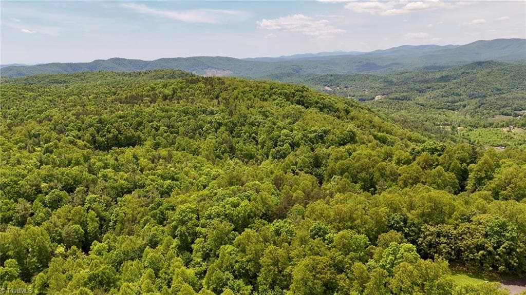 Unimproved Land at 0000 Ashe View Drive, Millers Creek NC 28651, photo 23 of 41