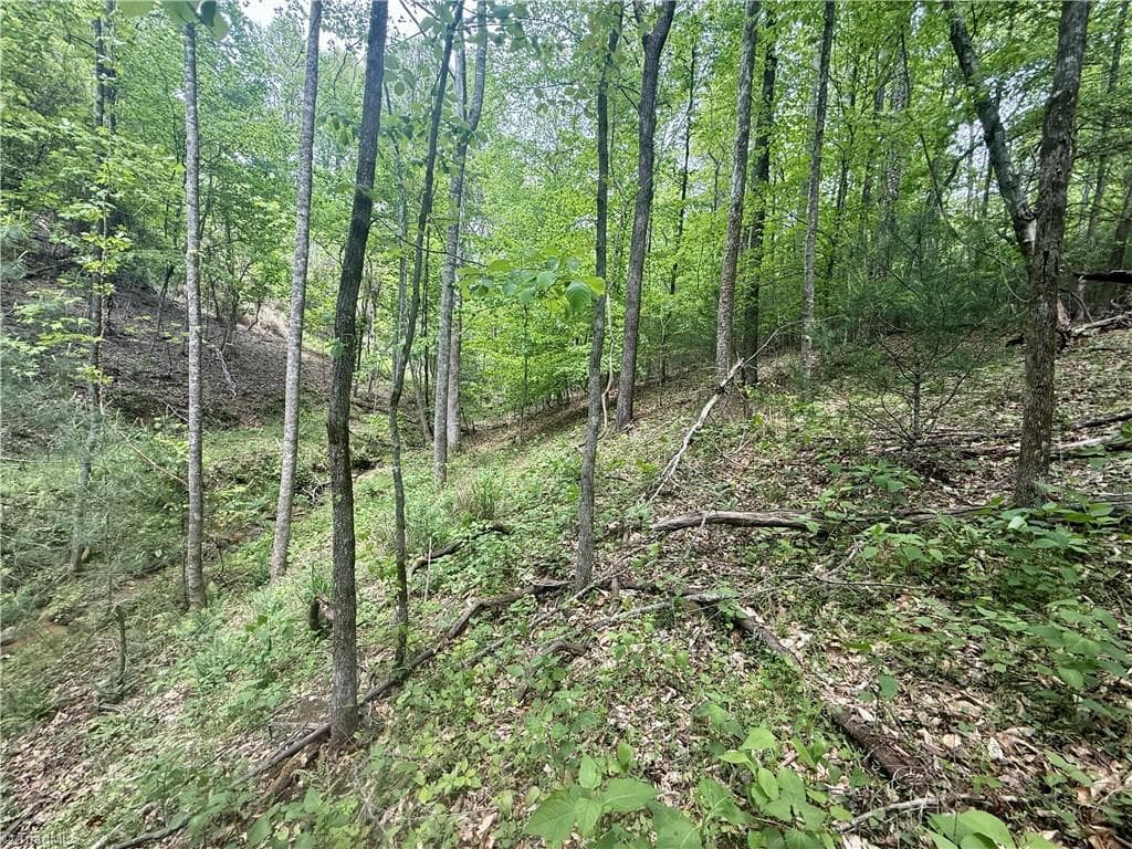 Unimproved Land at 0000 Ashe View Drive, Millers Creek NC 28651, photo 27 of 41
