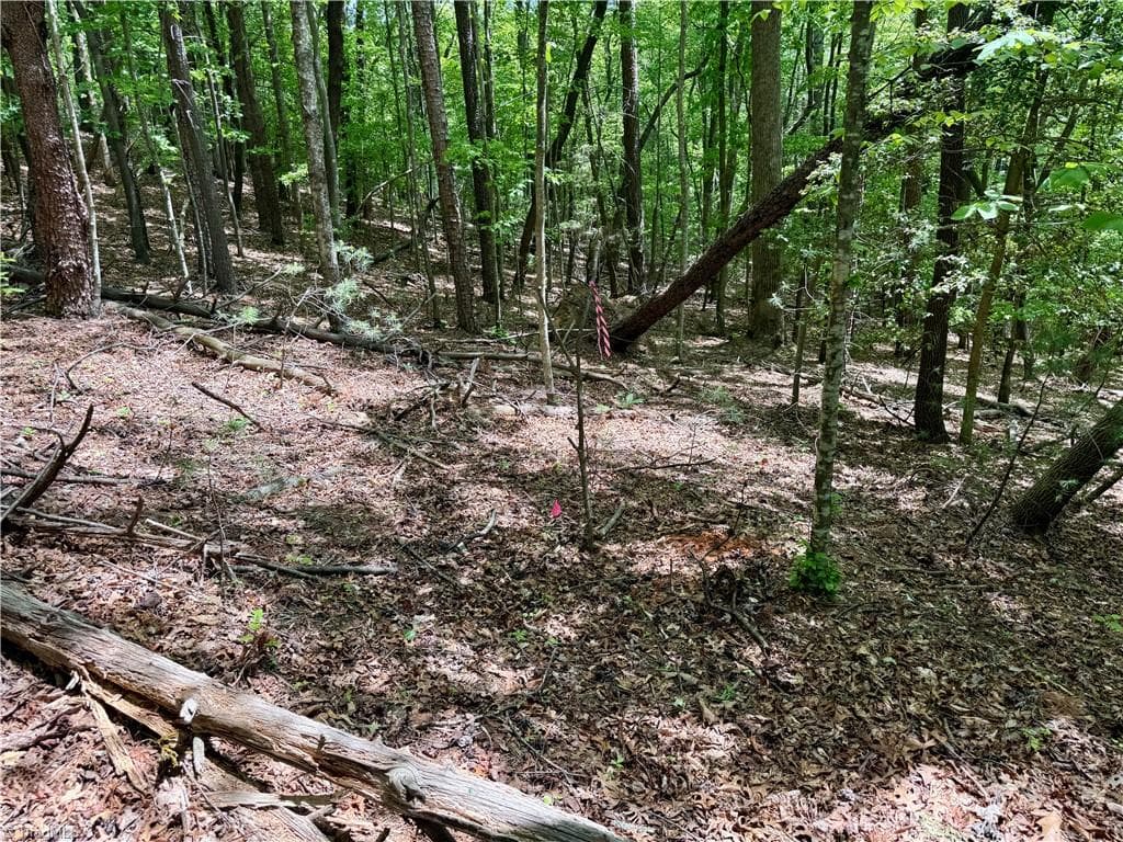 Unimproved Land at 0000 Ashe View Drive, Millers Creek NC 28651, photo 6 of 41