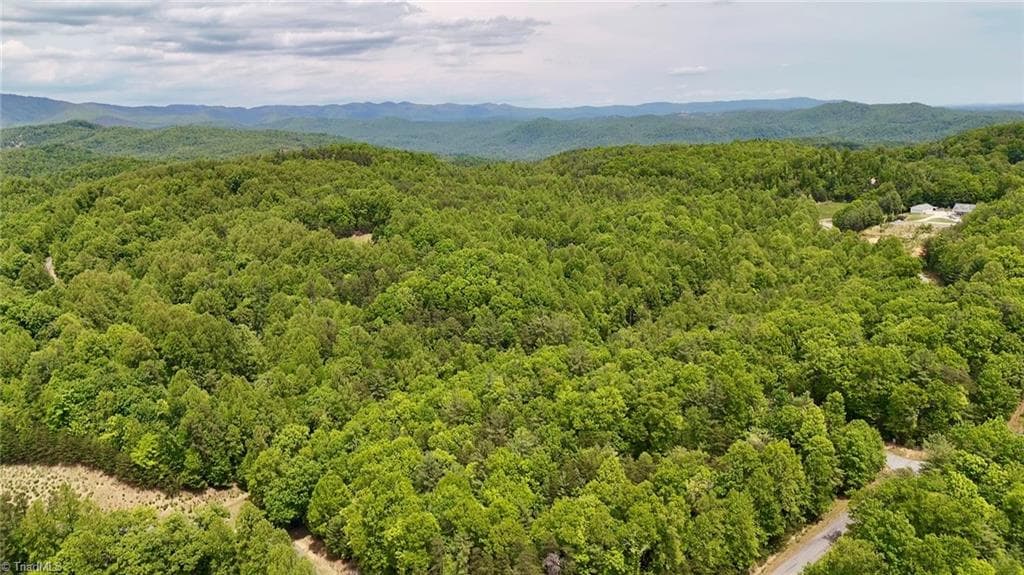 Unimproved Land at 0000 Ashe View Drive, Millers Creek NC 28651, photo 13 of 41
