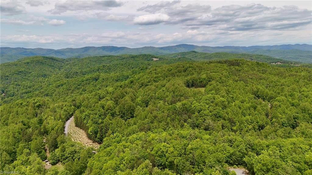 Unimproved Land at 0000 Ashe View Drive, Millers Creek NC 28651, photo 17 of 41